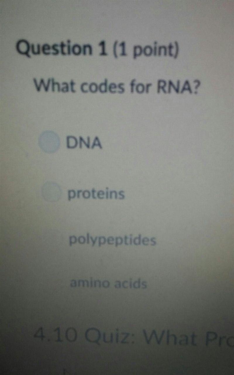 What codes for RNA? please hurry ​-example-1