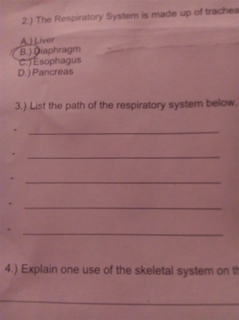 List the path of the respiratory system-example-1