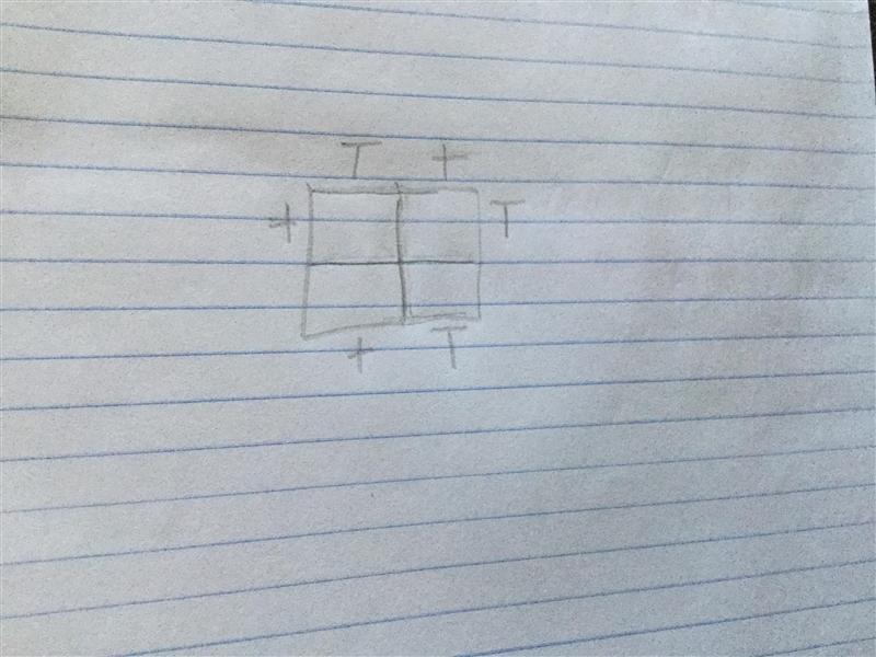 Is this how you draw a punnet square???-example-1