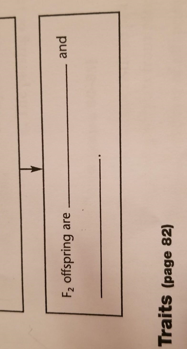 Offspring are _________________ and ___________???​-example-1