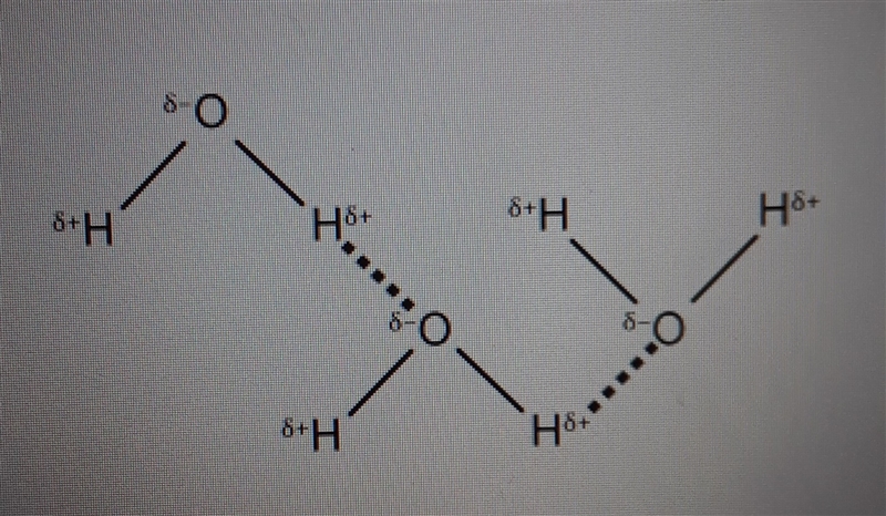 The diagram below shows a group of water molecules. The water molecules in the diagram-example-1