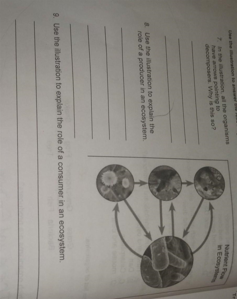 Plz help me with this​-example-1