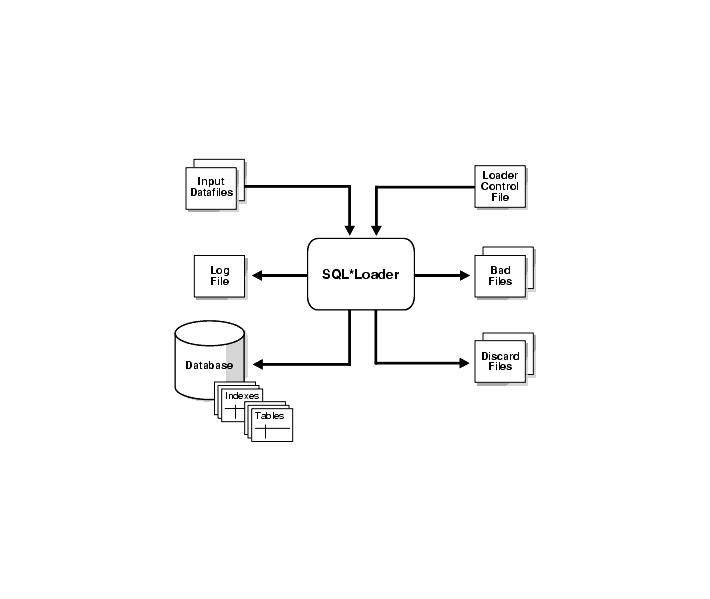 Which of the following is not a SQL*Loader file? A. Bad file B. Control file C. Discard-example-1