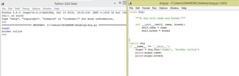 Write a class definition line and a one line docstring for the class Dog. Write an-example-1