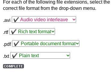 Select the correct answer from each drop-down menu. Which types of files are saved-example-1