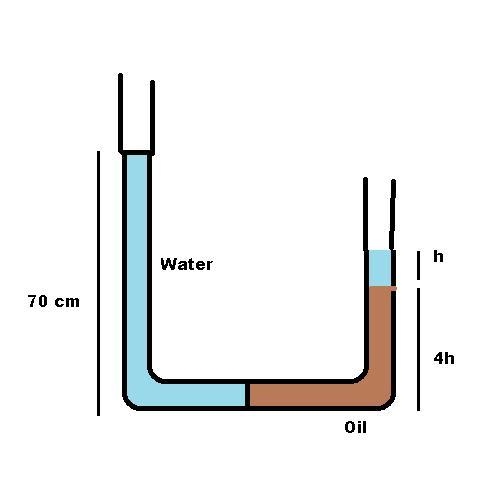 A U tube manometer has water poured into the left side and oil (density is 790 kg-example-1