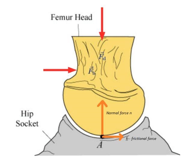 To measure the effective coefficient of friction in a bone joint, a healthy joint-example-1