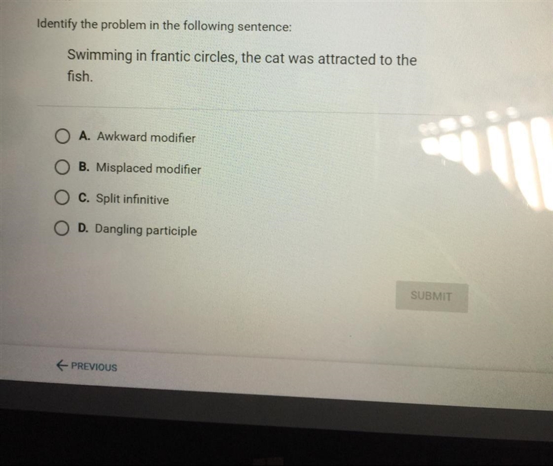 Identify the problem in the following sentence-example-1