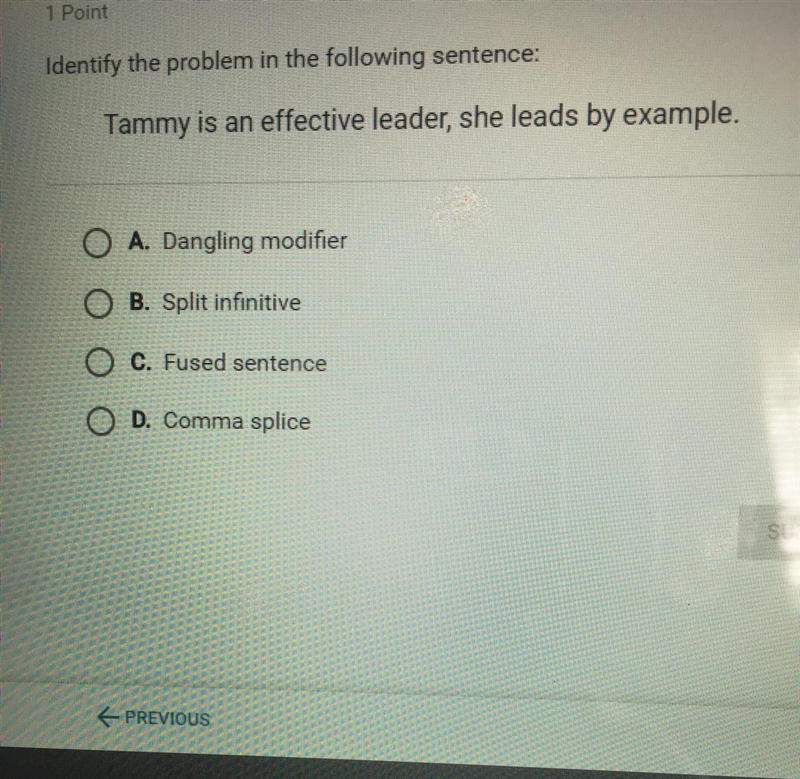 Identify the problem in the following sentence-example-1