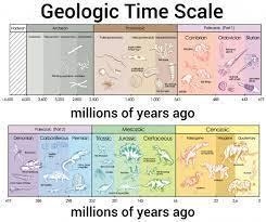 What can scientists learn about Earth's history by studying animals-example-1