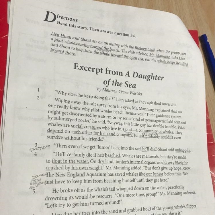 What is a theme of “ Excerpt from A daughter of the Sea.” How do events in the story-example-1