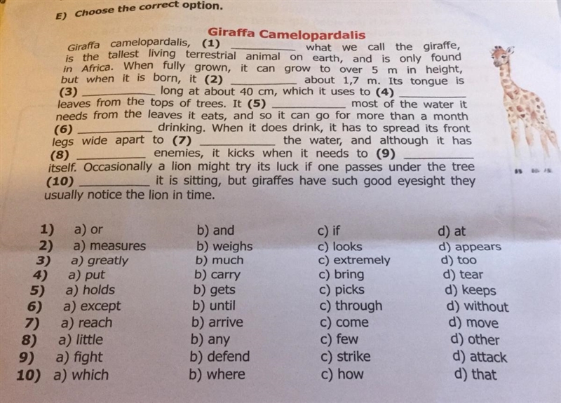 Help me with english please-example-1