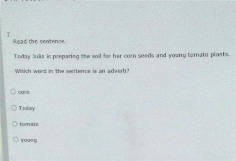 read the sentence. today Julia is preparing the soil for her corn seeds and young-example-1