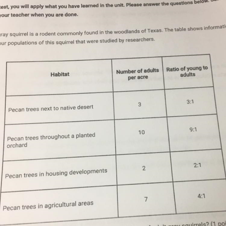 How are the roles of pecan trees and gray squirrels related within an ecosystem?-example-1