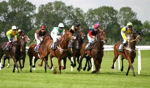 One day, a person went to a horse racing area. Instead of counting the number of humans-example-1