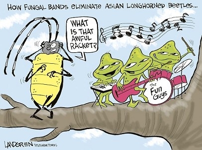 What is the cartoonist's purpose in this cartoon? to convince people that fungal bands-example-1