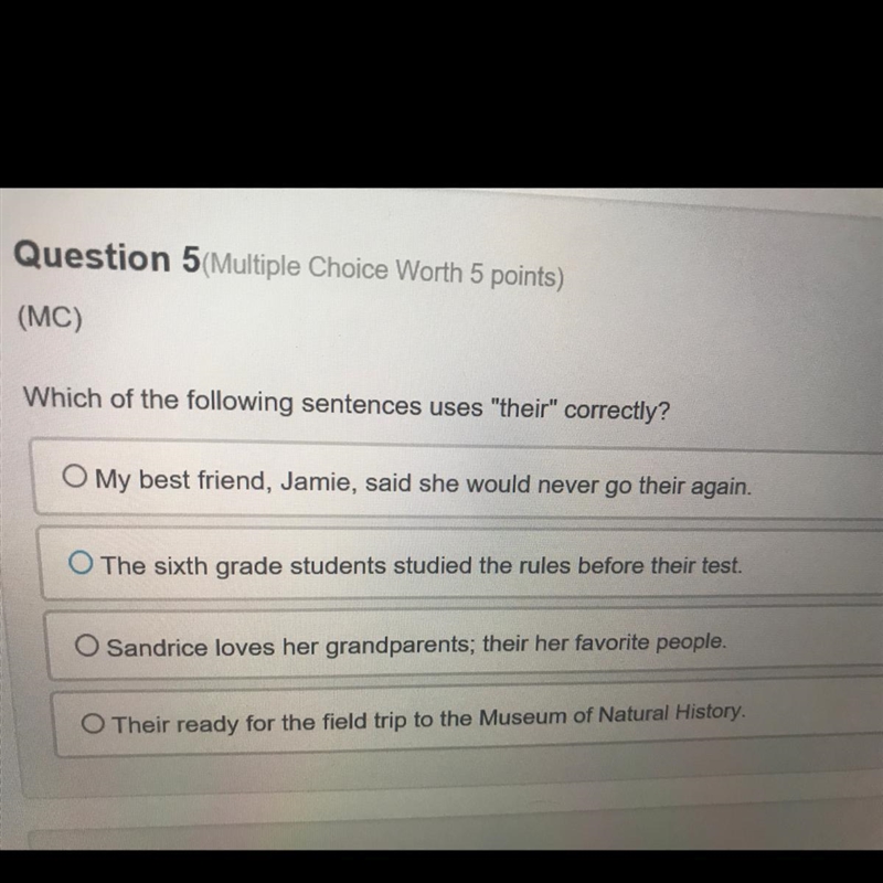 Which of the following sentences uses “their” correctly?-example-1