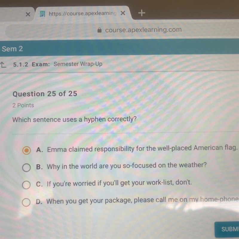 Which sentence uses a hyphen correctly-example-1