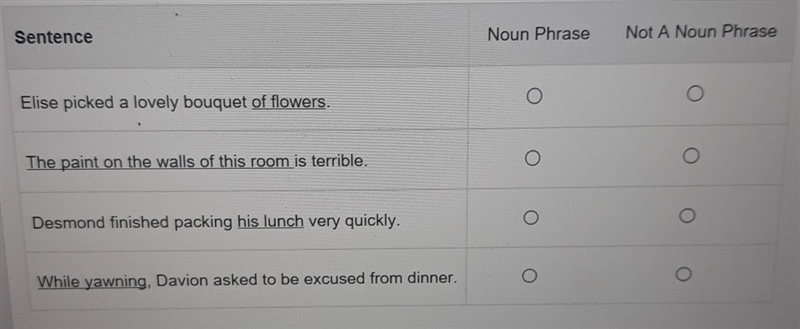 select noun phrase if the underlined group of words is a noun phrase. select not a-example-1