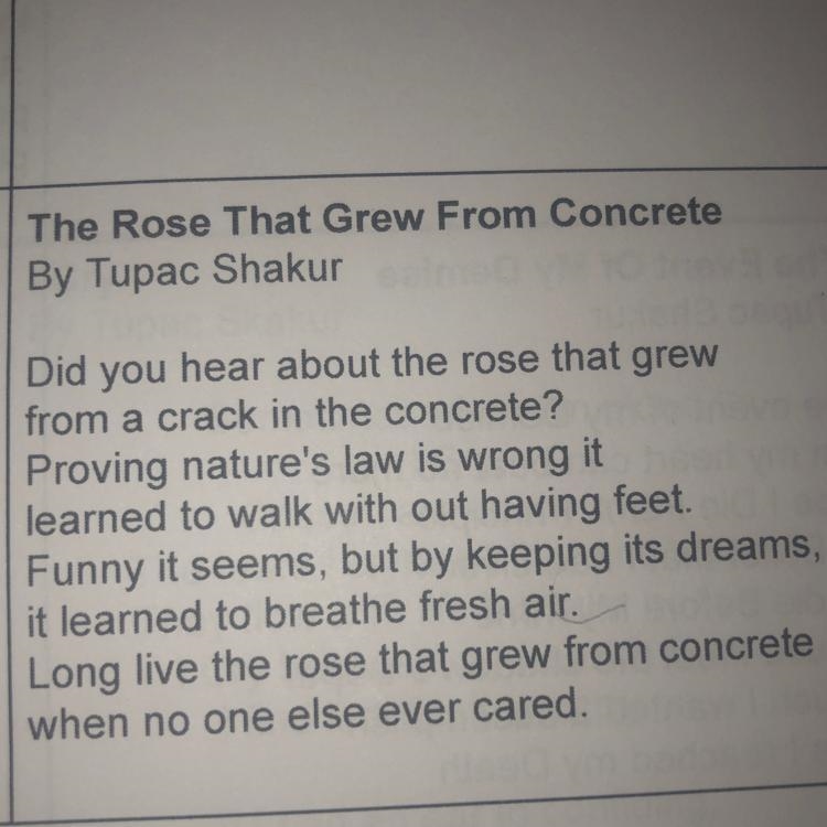 What is the theme/ main idea of this poem by Tupac?-example-1