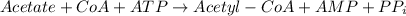 Acetate+CoA+ATP\rightarrow Acetyl-CoA+AMP+PP_(i)