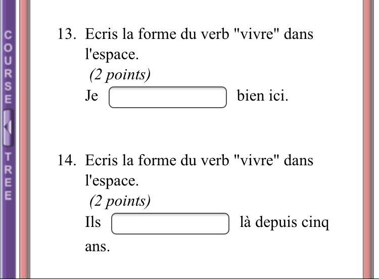 Fill in the blank in French. Directions in picture.-example-1