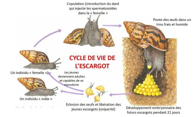 Please c'est urgent et merci pour ceux qui répondent-example-1