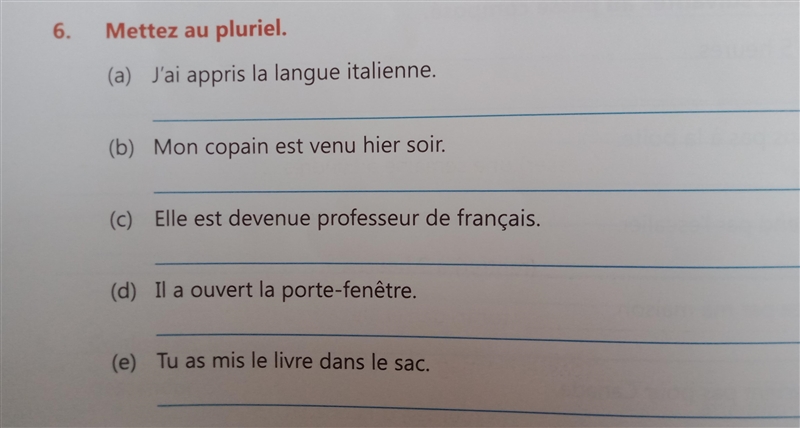 6.Mettez au pluriel.-example-1