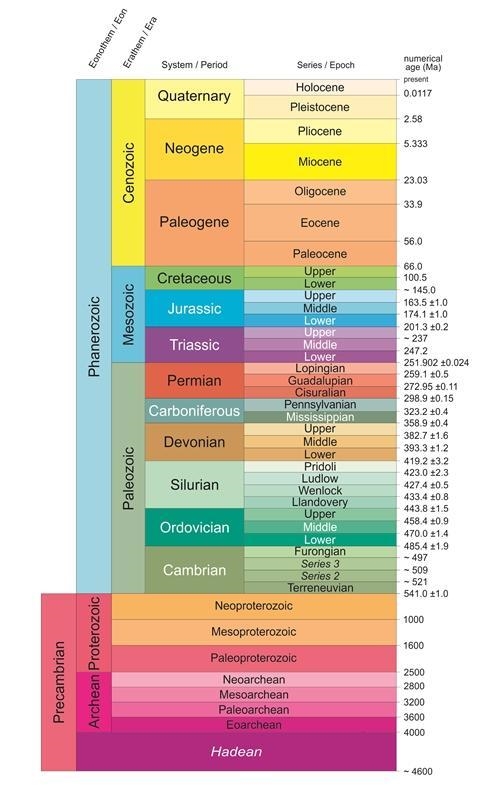 Please arrange the following divisions of geologic time in order of decreasing size-example-1