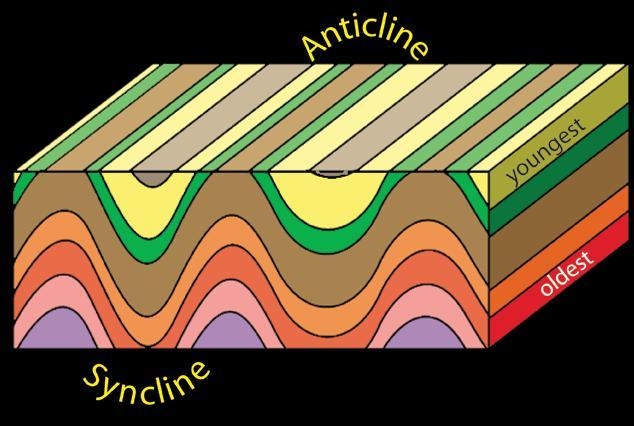 Explain how you tell if a fold was an anticline or syncline?-example-1