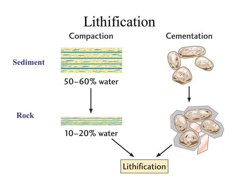 How do post depositional changes convert sediments to sedimentary rocks ?-example-1