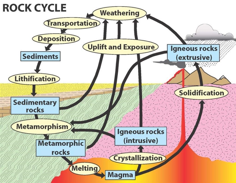 13. Label each arrow below with one of the following descriptors 1. Solidification-example-1