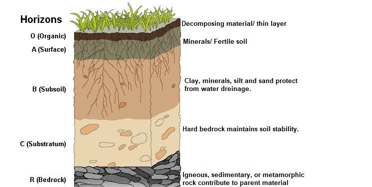 (a) Name four different agents of erosion. For each agent, give an example of a natural-example-1