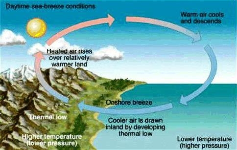 19) Draw the wind pattern that develops during the day during a sea breeze.-example-1