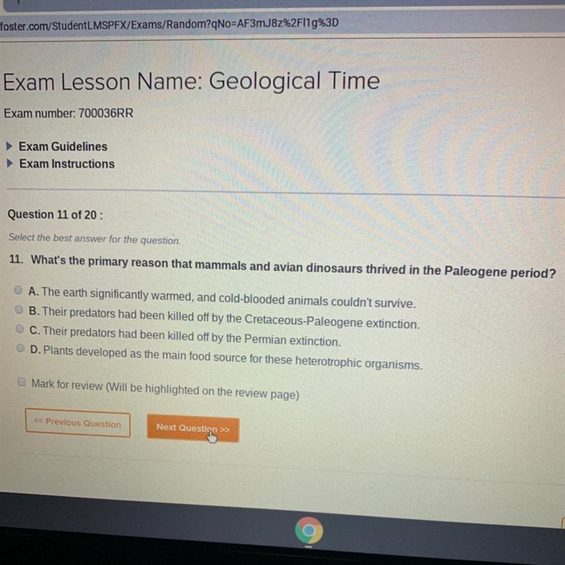 What’s the primary reason that mammals an avian dinosaurs thrived in the paleogene-example-1