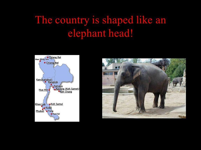 What country is shaped like an elephants head-example-1