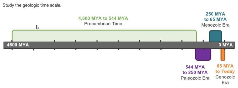 Scientists discovered that the Eocene time period existed in Earth’s history around-example-1