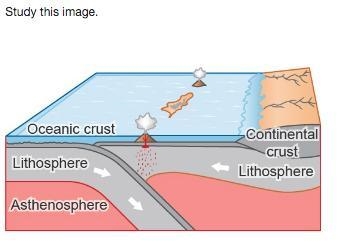 Which statement correctly explains what is happening? Oceanic and continental plates-example-1