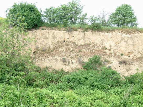 What type of geology is shown in the picture below? Mucklands Humus Loess Marshland-example-1