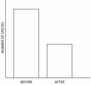 PLLLZ HELP This graph best represents the populations of marine groups before and-example-1