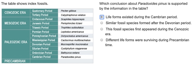 Which conclusion about Paradoxides pinus is supported by the information in the table-example-1