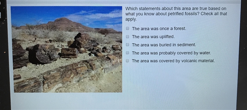 Pieces and full petrified logs in a barren area with mountains in the background. Which-example-1