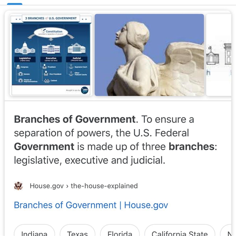 The division of the us government into three branches is called​-example-1