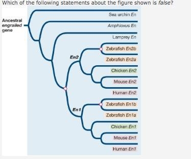 Which statement about this figure is false-example-1