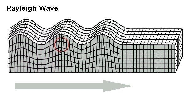 Whixh type of seismic wave is highlighted in the image?​-example-1