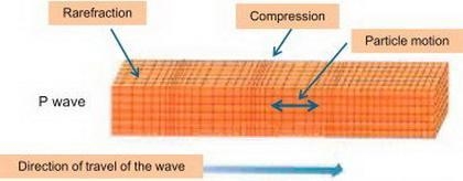 20. Which statement accurately describes a P wave? A. AP wave can travel through liquids-example-1