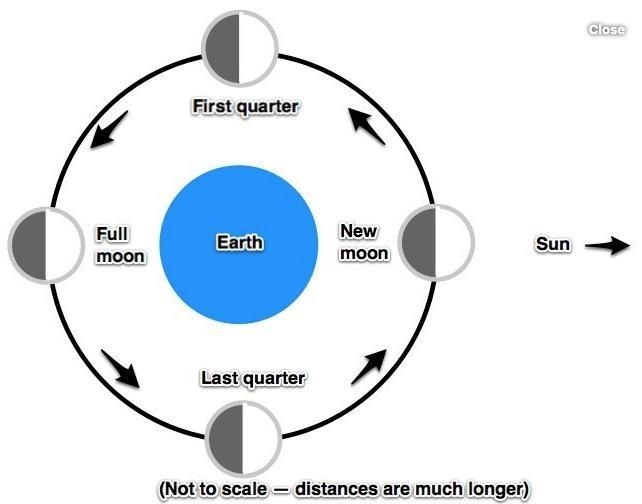 Why do we see different phases of the moon each month-example-1