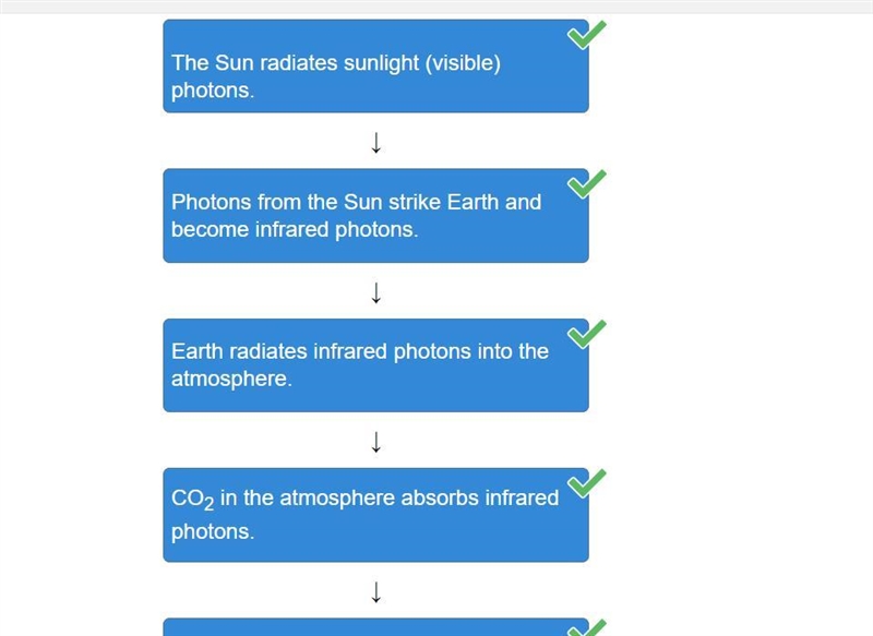 Arrange the steps in order to describe how photons and carbon dioxide (CO2) contribute-example-1