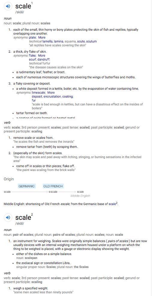 What does the term scale mean​-example-1