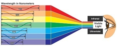 Look at the diagram showing the different wavelengths in sunlight. Which statement-example-1